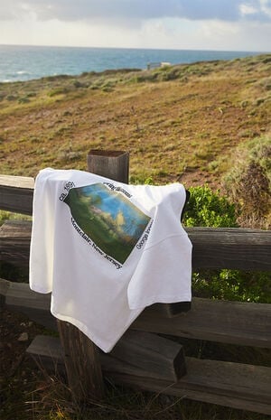 x Pacsun Spring Blossoms T-Shirt image number 1