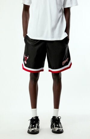Bulls Sport Class Basketball Shorts image number 1