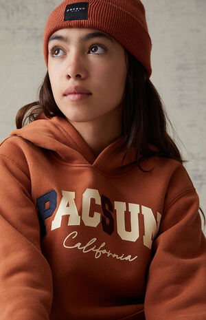Brown Basic Logo Hoodie image number 3