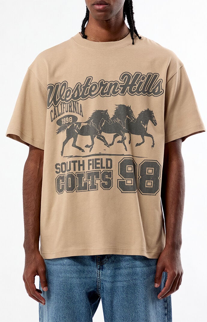 Pacsun Western Hills Oversized T-Shirt