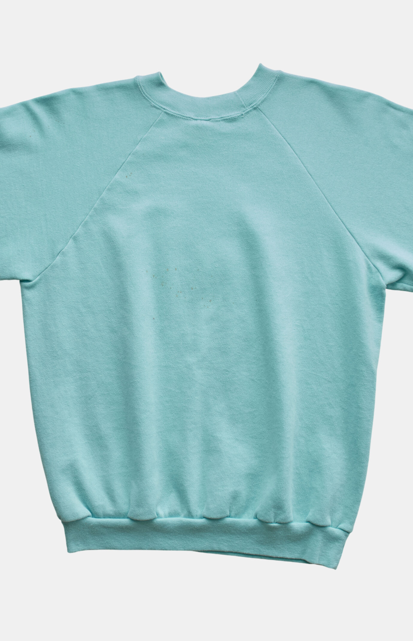 PS VINTAGE 80s Naples, FL Crew Neck Sweatshirt