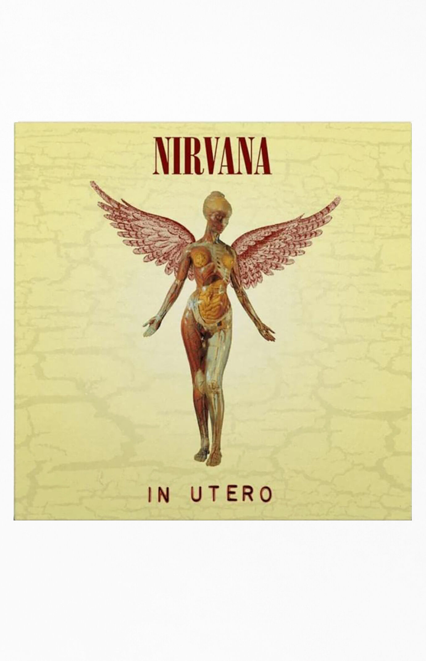 Nirvana In Utero Vinyl Record