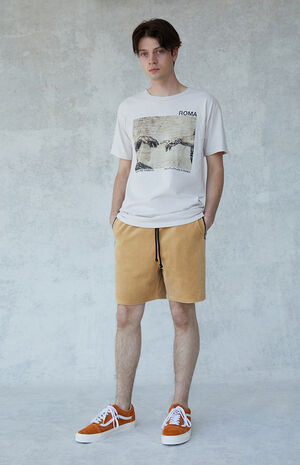 Lark Velour Drop Shorts Lark Velour Drop Shorts image number null