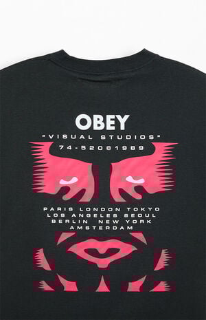 Visual Studies image number 4