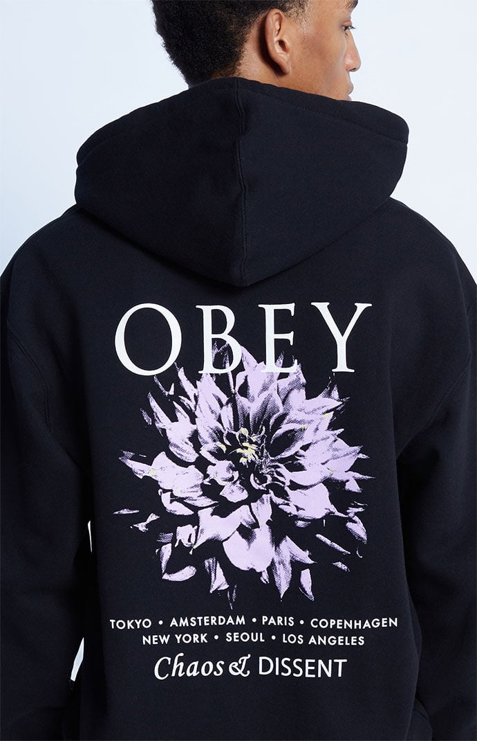 Pacsun discount obey hoodie