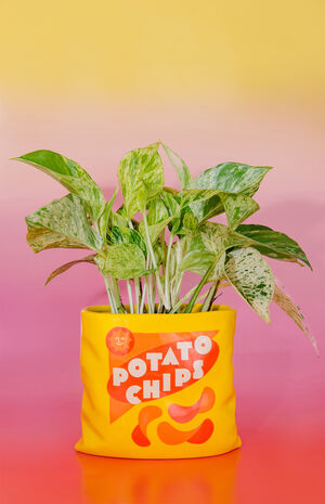 Potato Chips Ceramic Vase image number 3