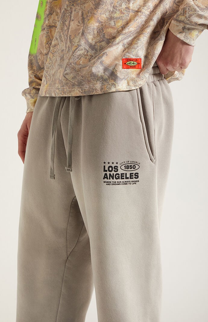 Pacsun LA Fleece Baggy Sweatpants
