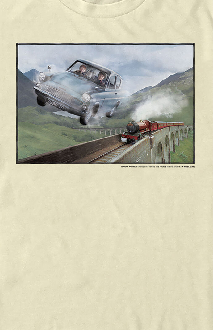 Racing The Train T-Shirt