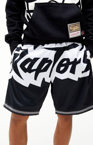 Big Face 3.0 Raptors Basketball Shorts Big Face 3.0 Raptors Basketball Shorts image number null