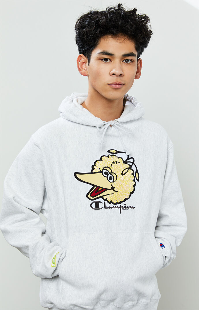 champion hoodie with birds