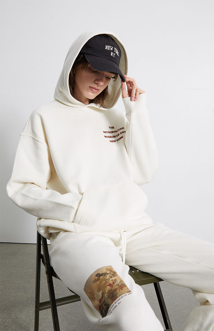 Pacsun x nasa 2025 patch pullover hoodie