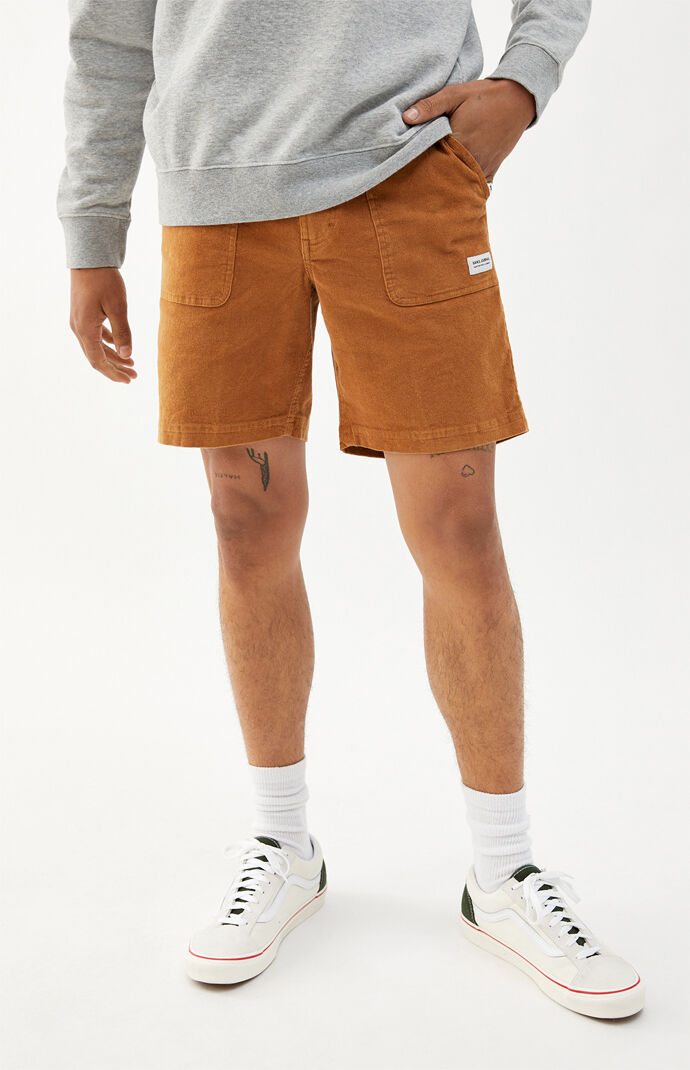Big Bear Walk Shorts