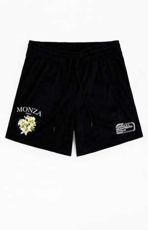 x PacSun Italy Grand Prix Mesh Shorts image number 1