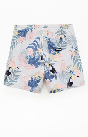 Cannonball Lined Volley 6" Swim Trunks image number 2