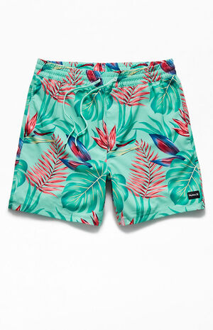 Cannonball Volley 17" Swim Trunks image number 1