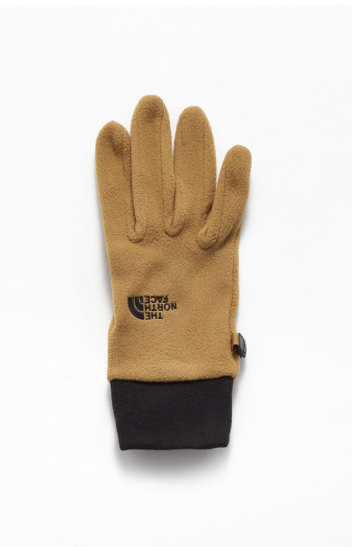 the north face tka 100 microfleece gloves