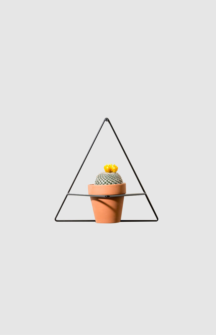 Black Triangle Wall Planter