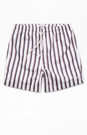 Baja Striped 4.5 Swim Trunks image number 1