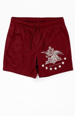 By PacSun Banner Mesh Basketball Shorts image number 1