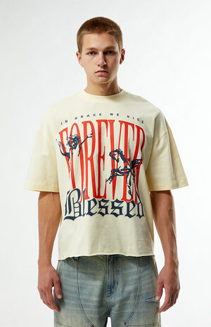 Forever Cropped Boxy T-Shirt image number 2
