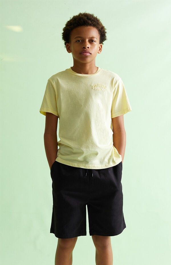 Pacsun Kids Woven Volley Shorts