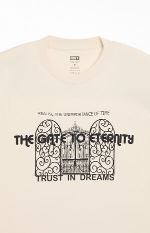 We Are Not Alone Heavyweight Boxy T-Shirt image number 3