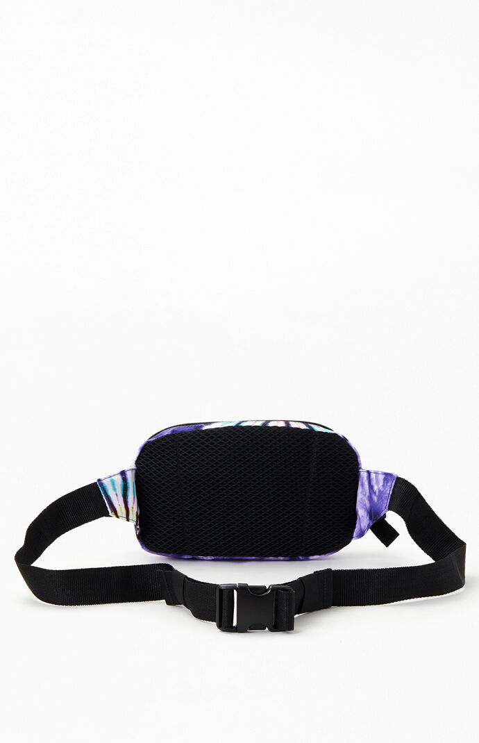 Aliso II Hip Pack