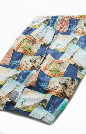 Destination 17" Swim Trunks image number 4