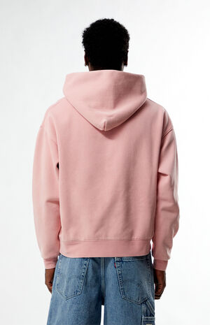 Globe Hoodie image number 3