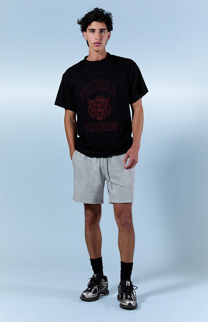 Pacsun Fleece Grey Sweat Shorts
