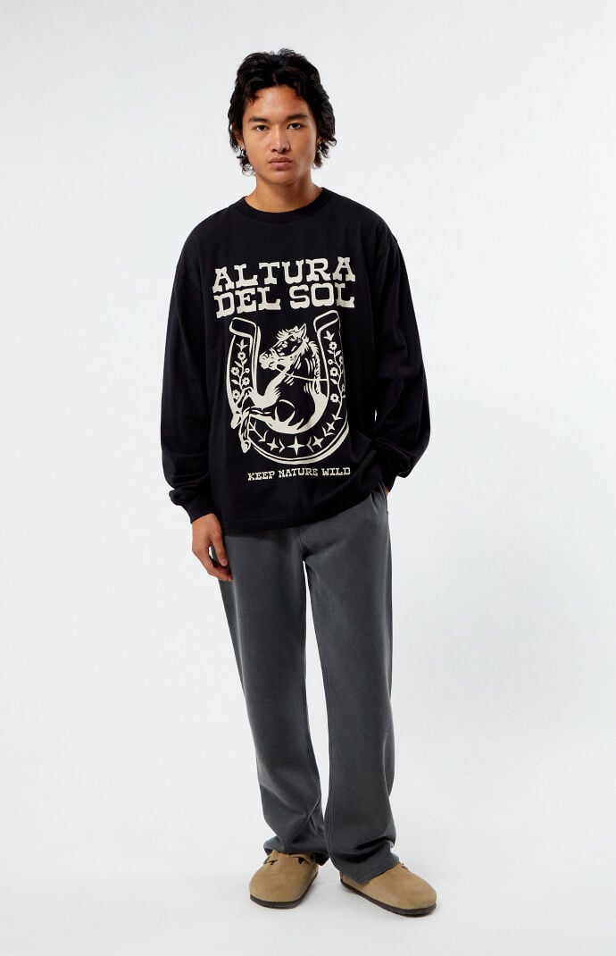 Pacsun Altura Del Sol Long Sleeve T-Shirt | Pacsun