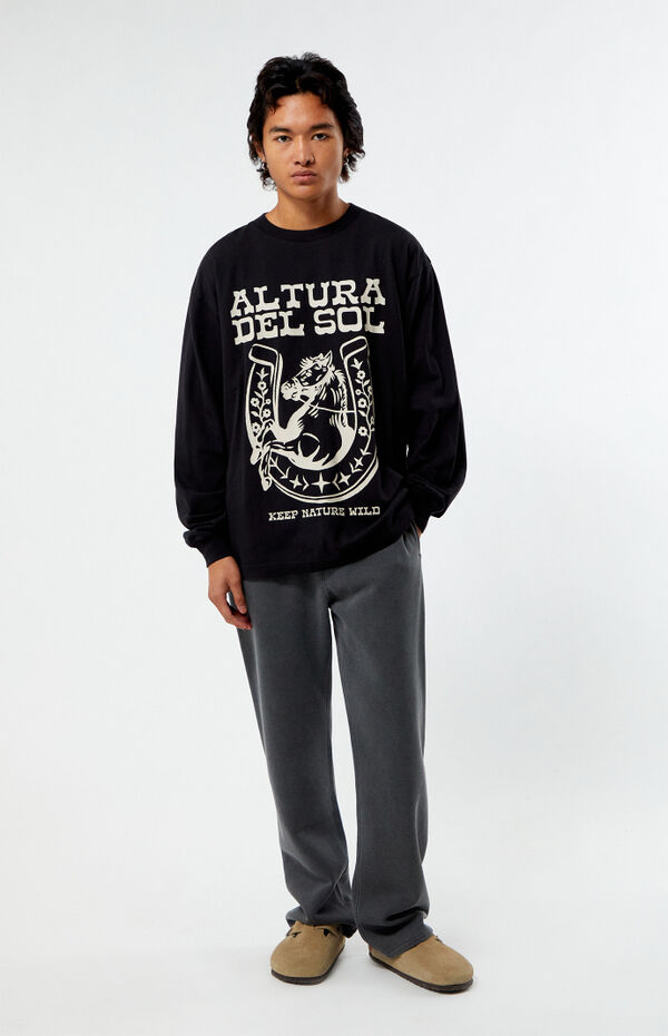 Pacsun Altura Del Sol Long Sleeve T-Shirt | PacSun 