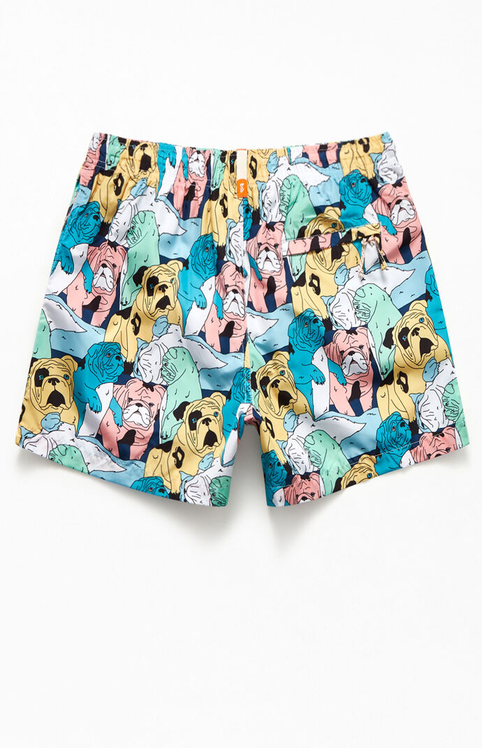 Bruiser 14" Swim Trunks