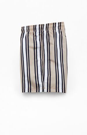 Multi Stripe 4" Swim Trunks image number 3