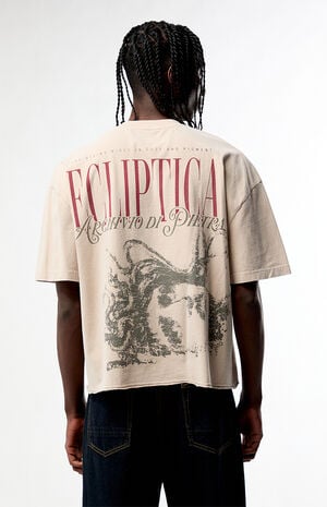 Ecliptica&nbsp;Cropped Boxy T-Shirt image number 3