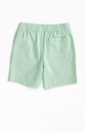 Pastel Green Volley Shorts image number 3