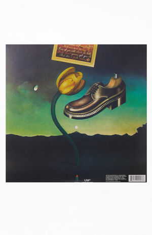 Nick Drake Pink Moon Vinyl Record image number 2