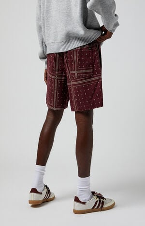 Bandana Printed Volley Shorts image number 4