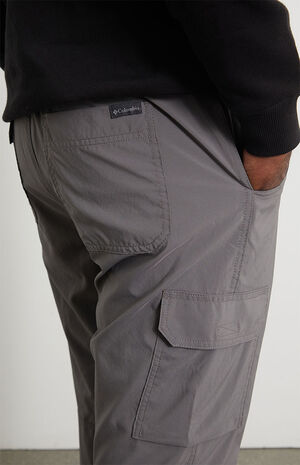 Silver Ridge Utility Cargo Pants image number 2