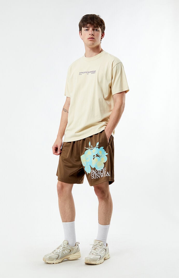 Pacsun basketball shorts shop