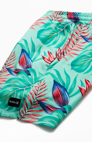 Cannonball Volley 17" Swim Trunks image number 4