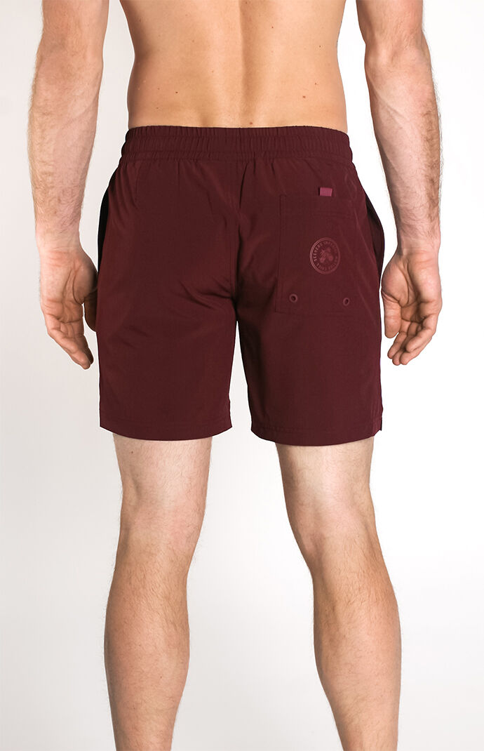 Burgundy Recycled Seeker 17.5" Swim Trunks