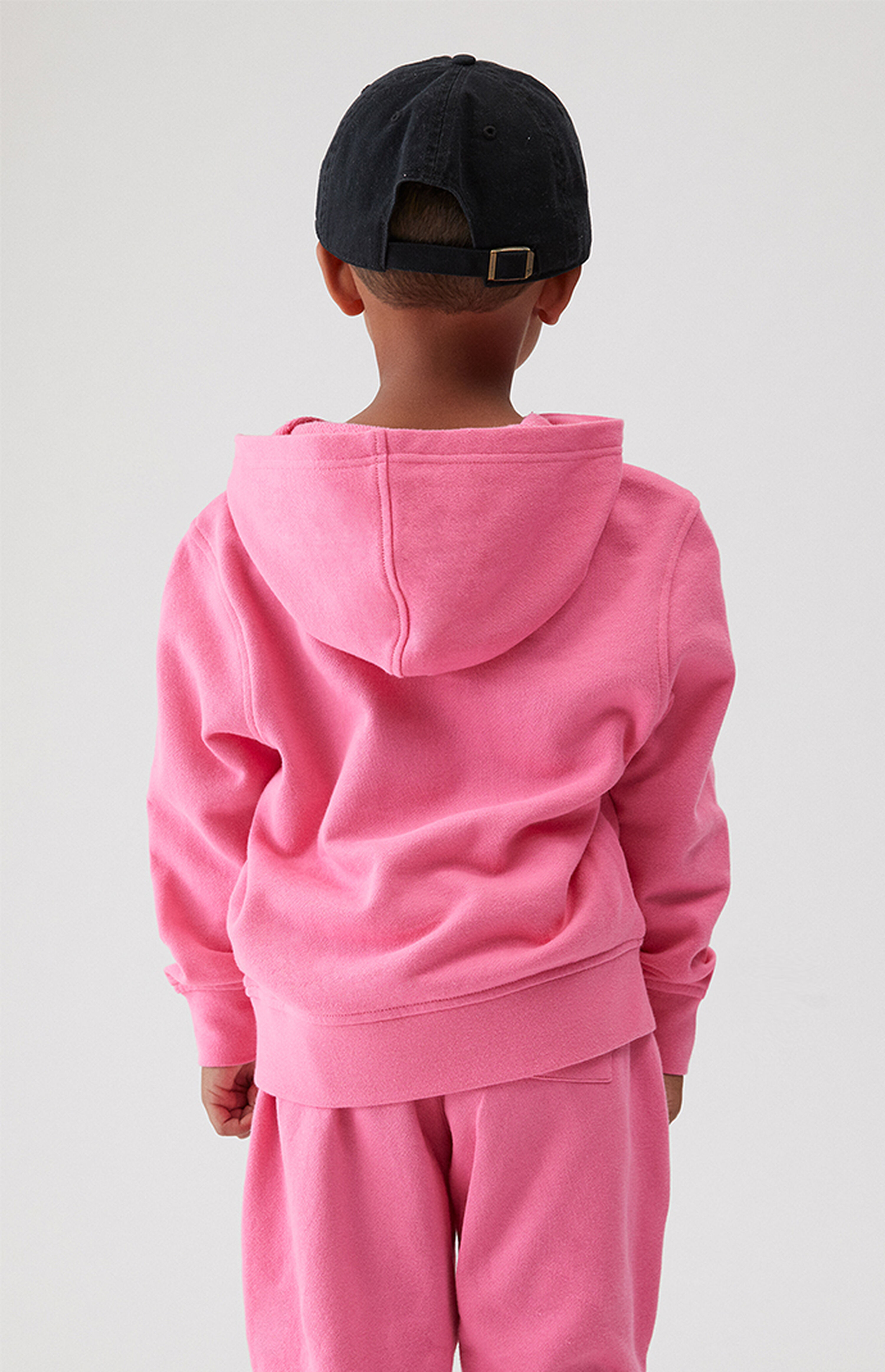 pacsun basic hoodie