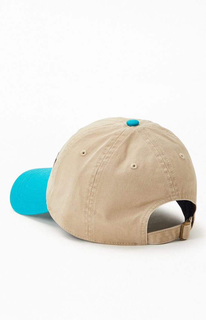 Tune Squad Dad Hat PacSun