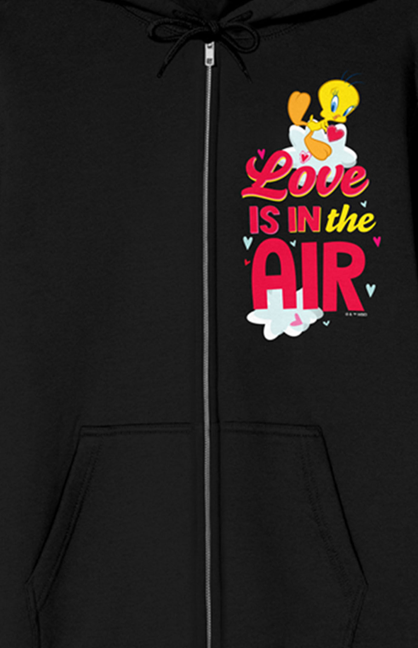 Looney tunes hoodie pacsun hot sale