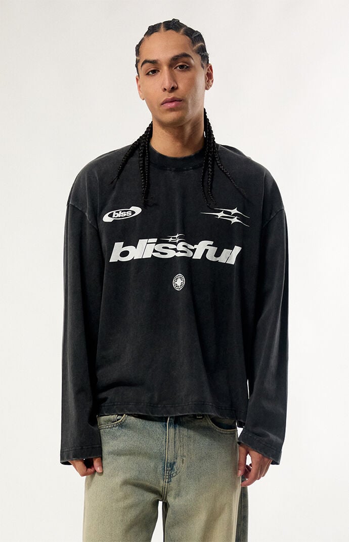 Pacsun Blissful Heavyweight Cropped Long Sleeve T-Shirt
