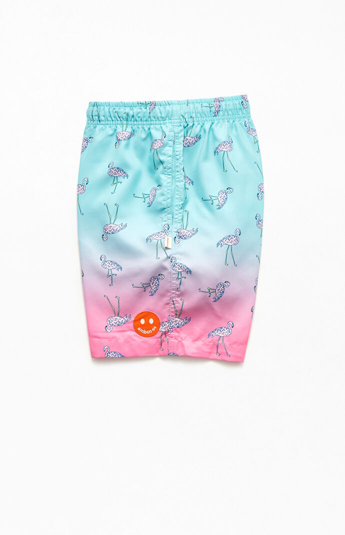 Flamingo Ombre 17" Swim Trunks