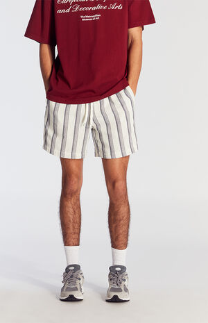 Navy Striped Textured Volley Shorts image number 2