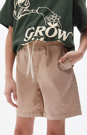 Twill Volley Shorts image number 4