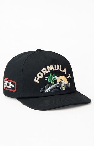 x PacSun Travis County Cactus Snapback Hat image number 1